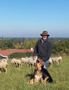 Claude Provaux avec un chien et des brebis dans un pré