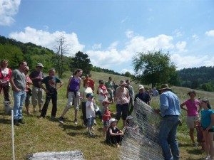 Photographie d’archive de visiteurs près d’un enclos de brebis